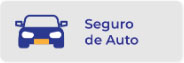 Seguro De Auto